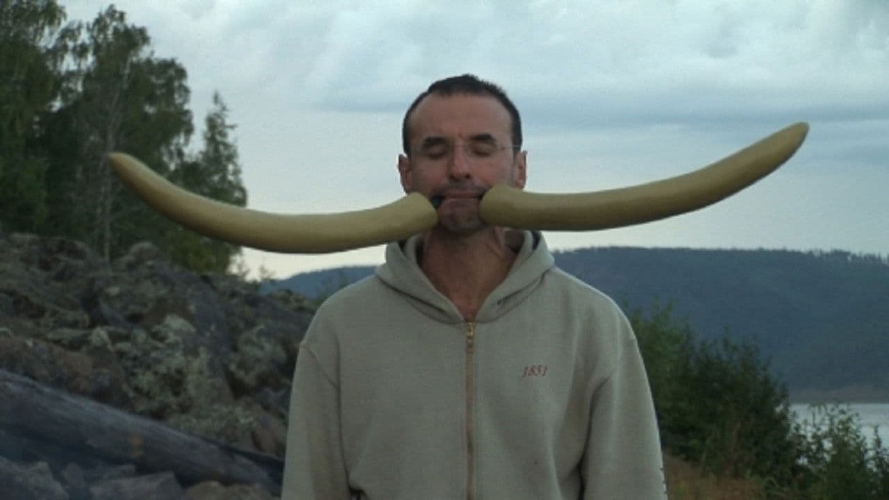 Бирмингемский орнамент 2の背景画像