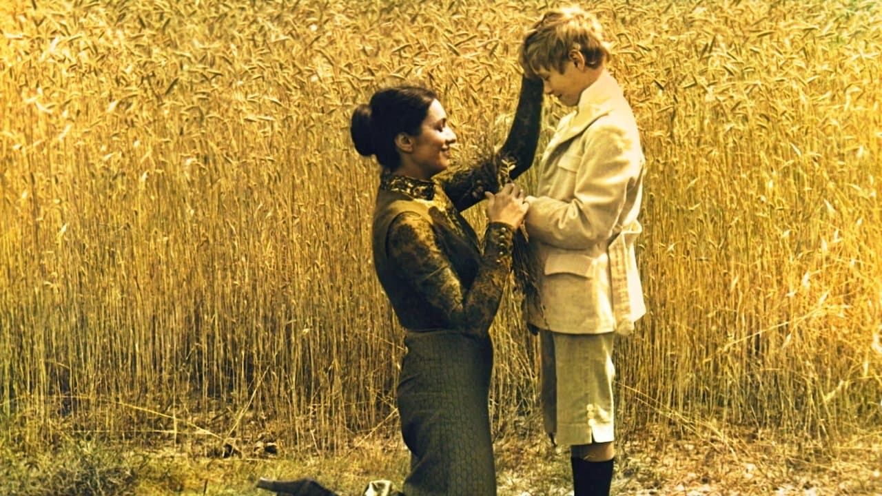 Zmoryの背景画像