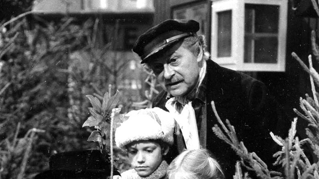 Torvetの背景画像