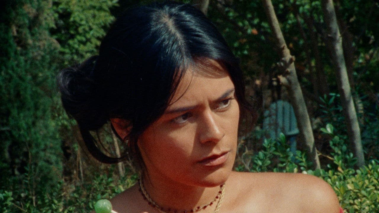 Everyone Loves Björkの背景画像