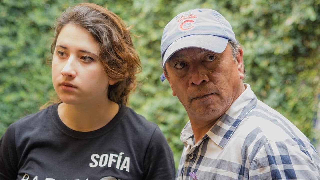 Habla Conmigoの背景画像