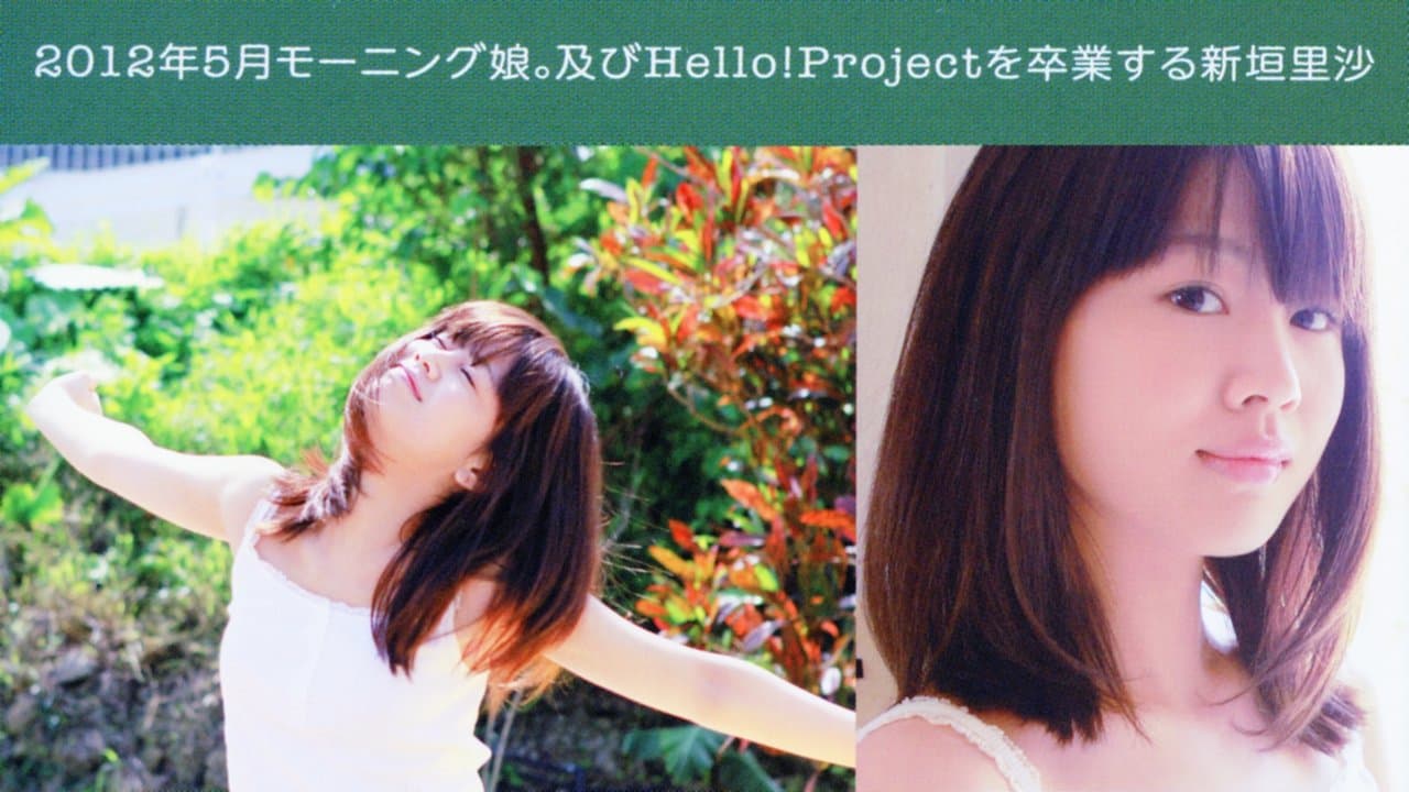 新垣里沙 ～as it is～の背景画像