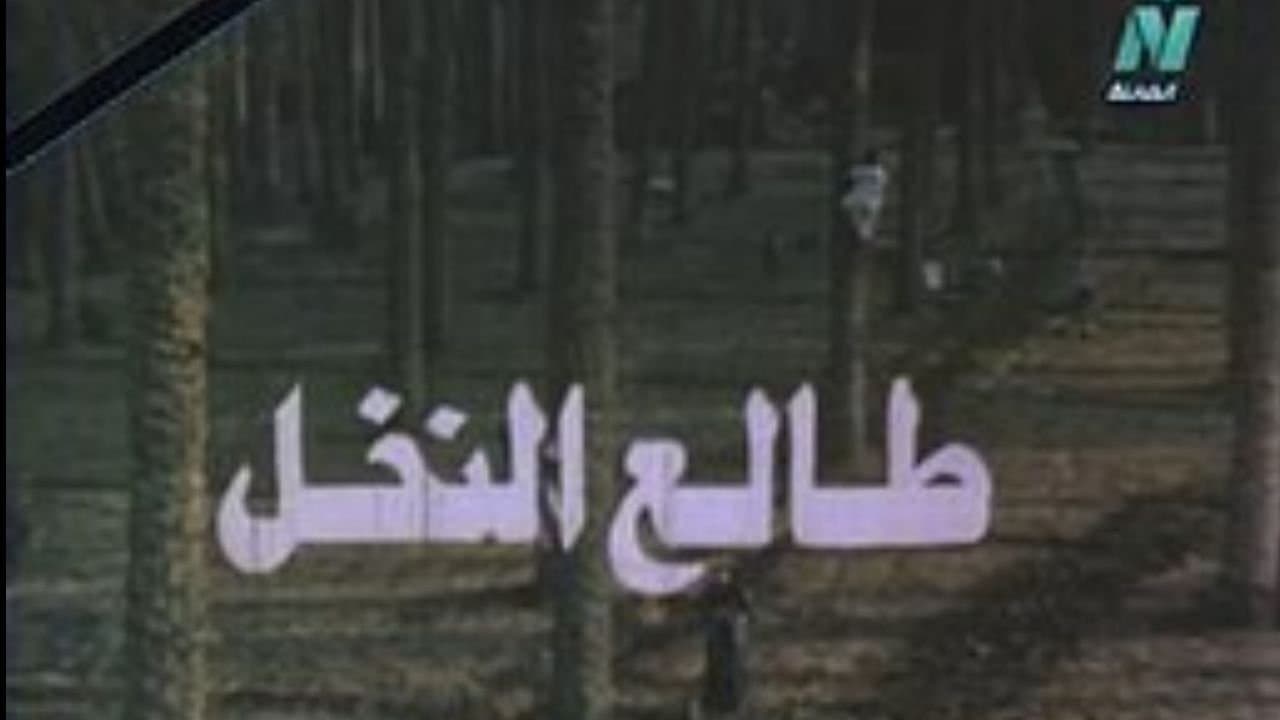 طالع النخلの背景画像