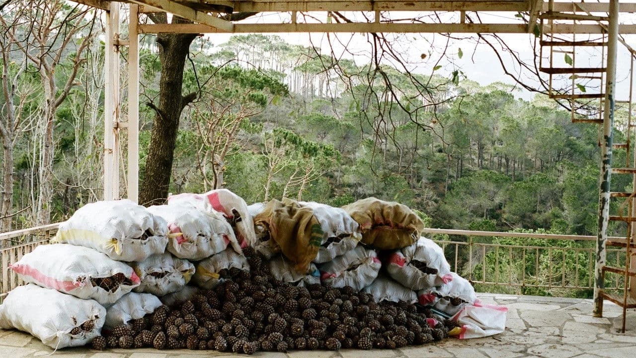 تدورの背景画像