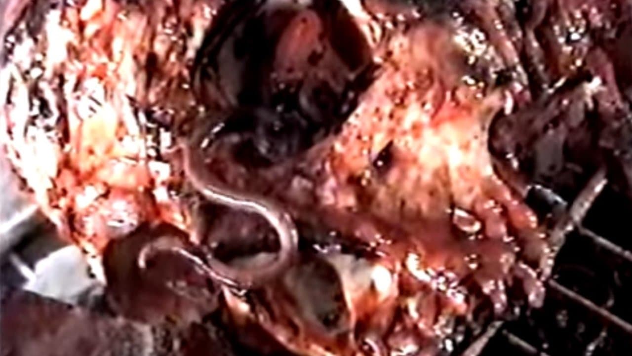 Harvest Broodの背景画像