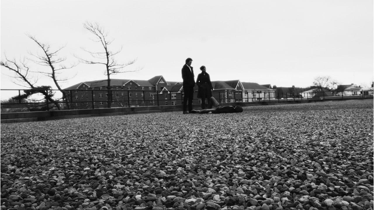 Last Night in Urbanaの背景画像