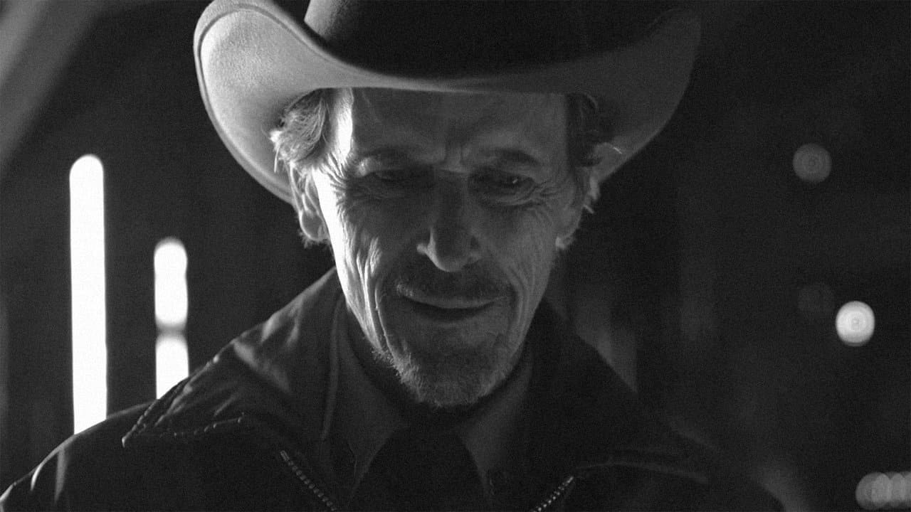 Manifoldの背景画像