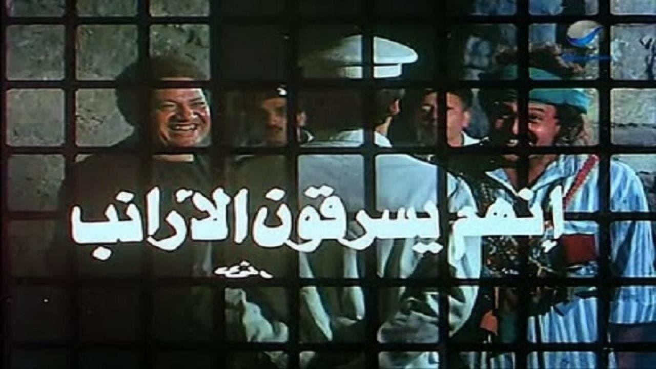 إنهم يسرقون الأرانبの背景画像