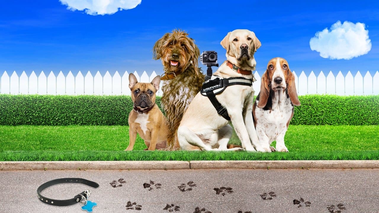 Trackersの背景画像