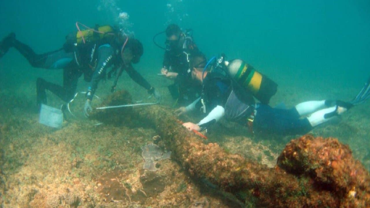 La Véritable histoire des piratesの背景画像