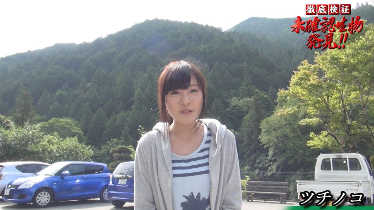 徹底検証 未確認生物発見!!の背景画像