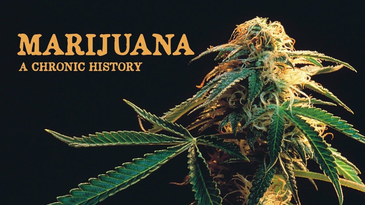 Marijuana: A Chronic Historyの背景画像