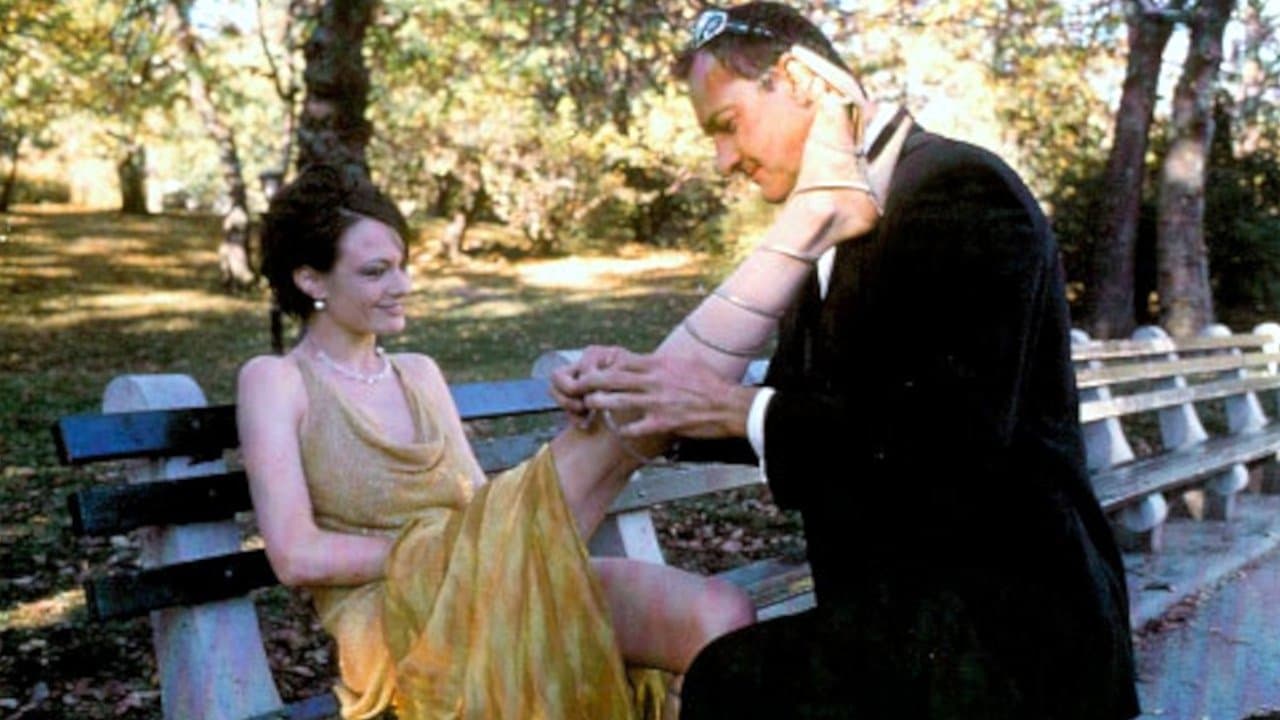 The Debtorsの背景画像