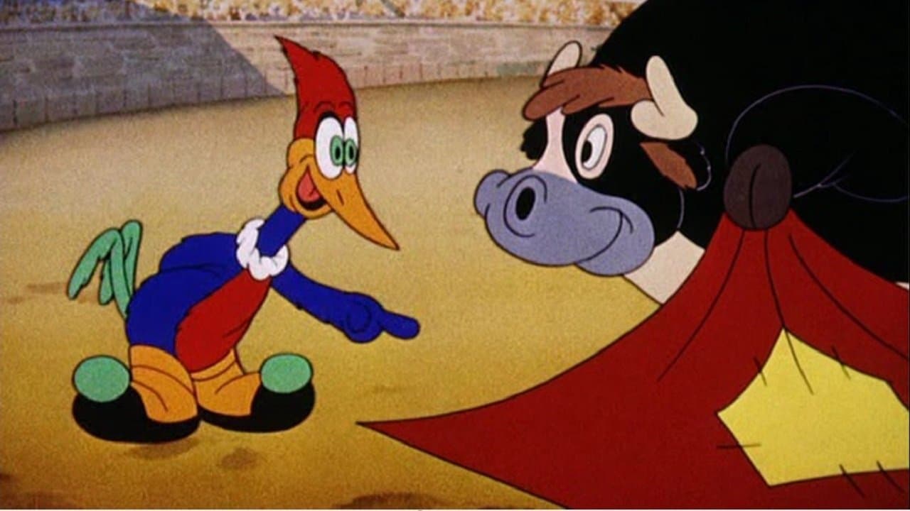 The Hollywood Matadorの背景画像