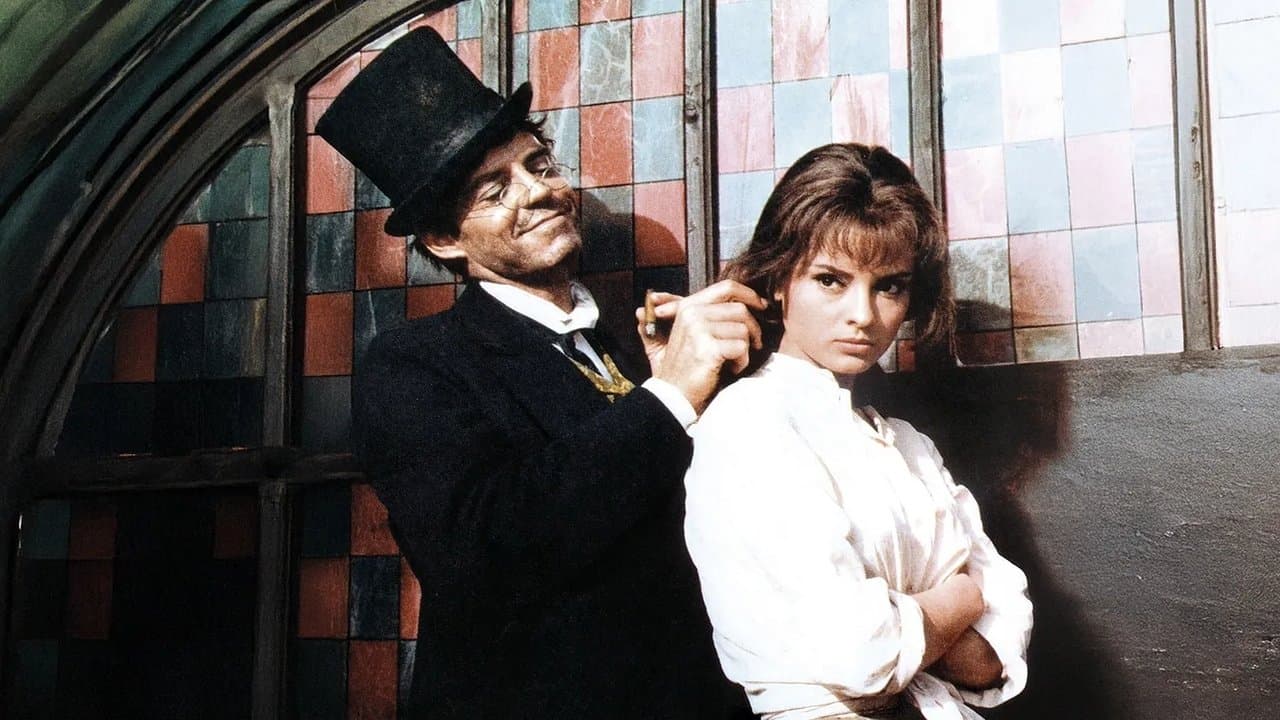 Sugar Coltの背景画像