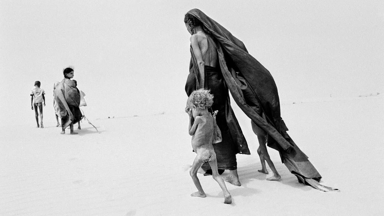 セバスチャン・サルガド/地球へのラブレターの背景画像