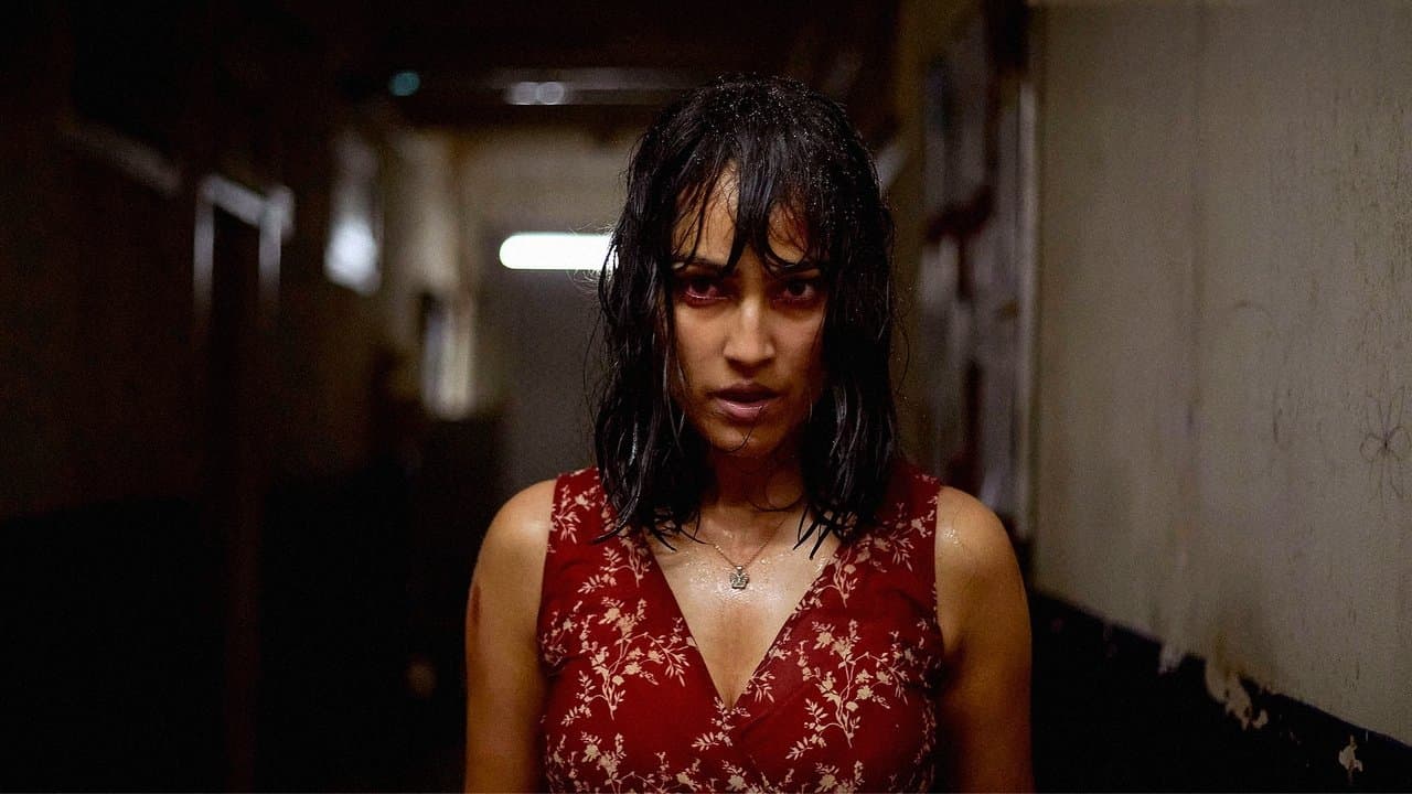 カウフ ~ホステルの女たち~の背景画像