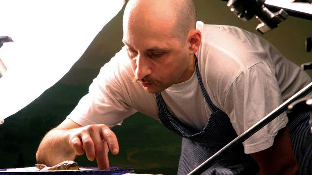 Cuoco Contadinoの背景画像