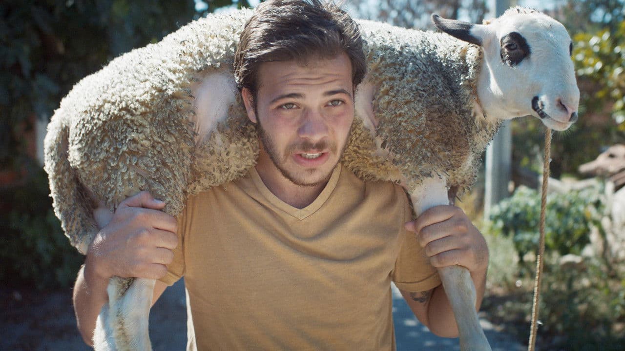 Dead Horse Nebulaの背景画像