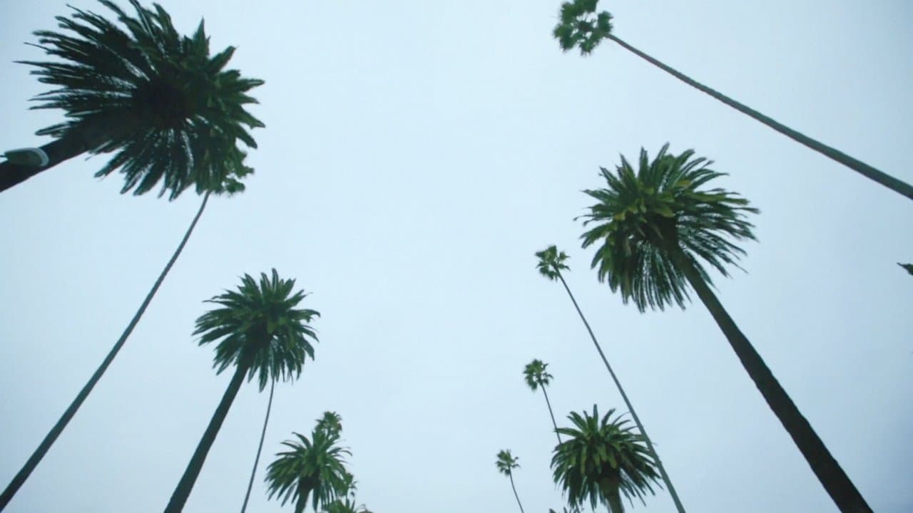 Sleepover LAの背景画像