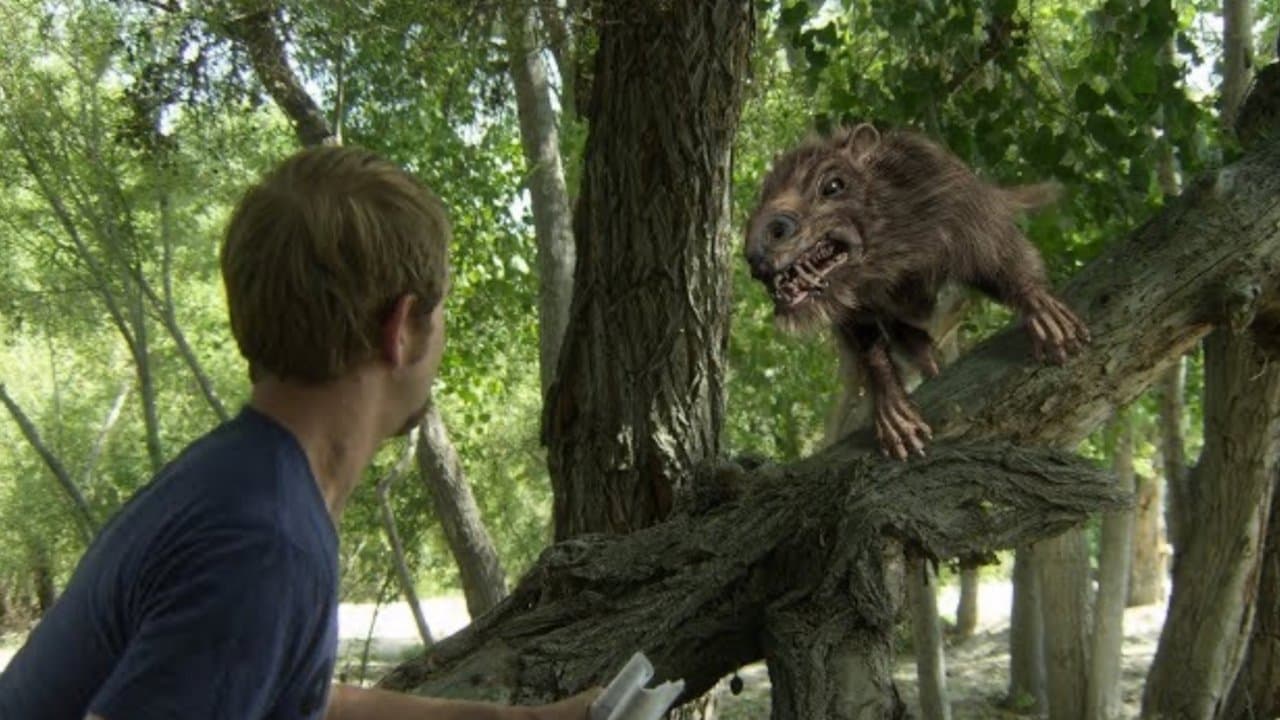 Return of the Killer Shrewsの背景画像