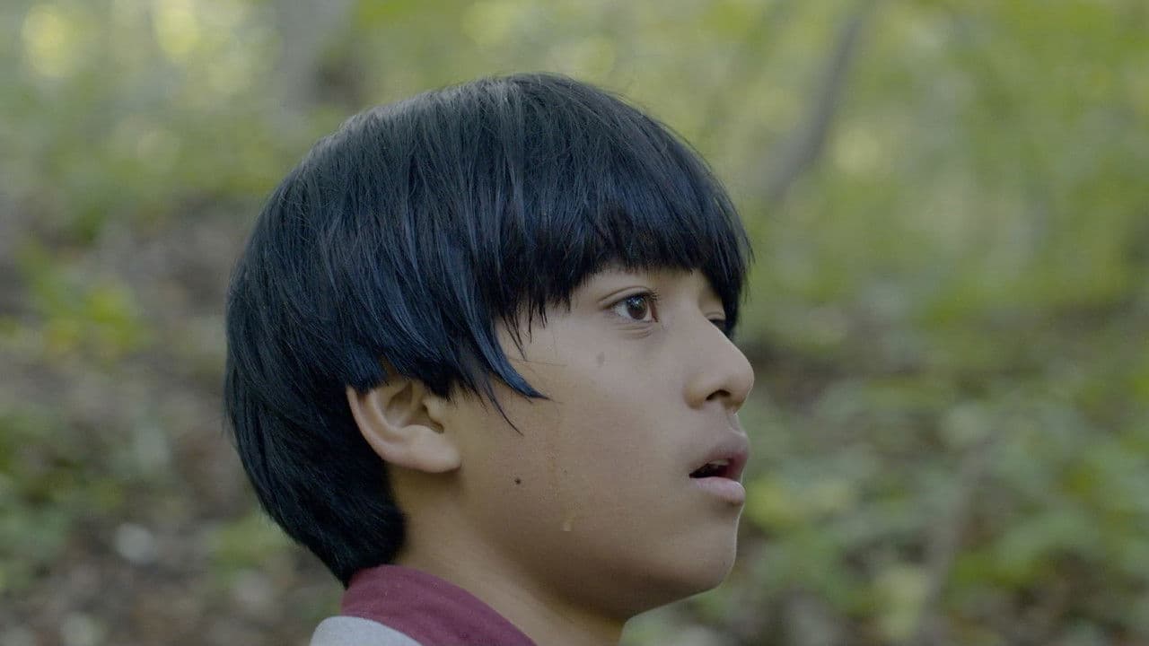 밤빛の背景画像