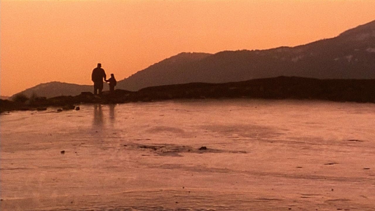 Voci nel tempoの背景画像