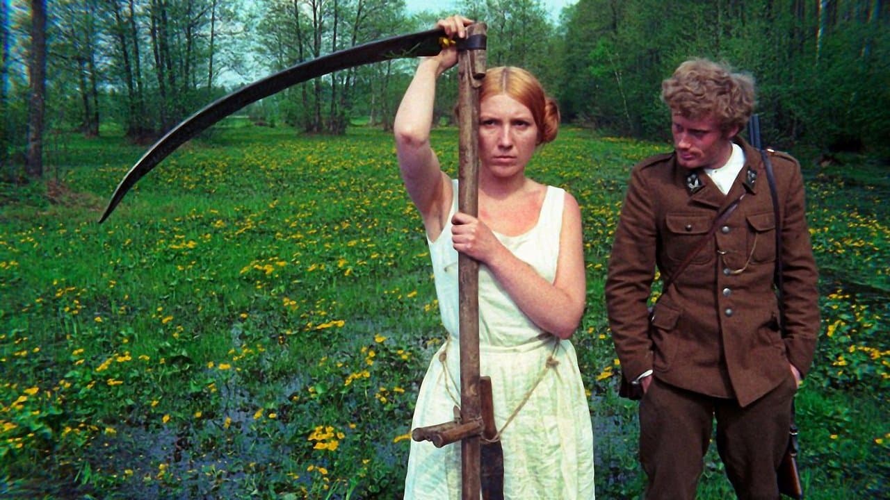 Brzezinaの背景画像