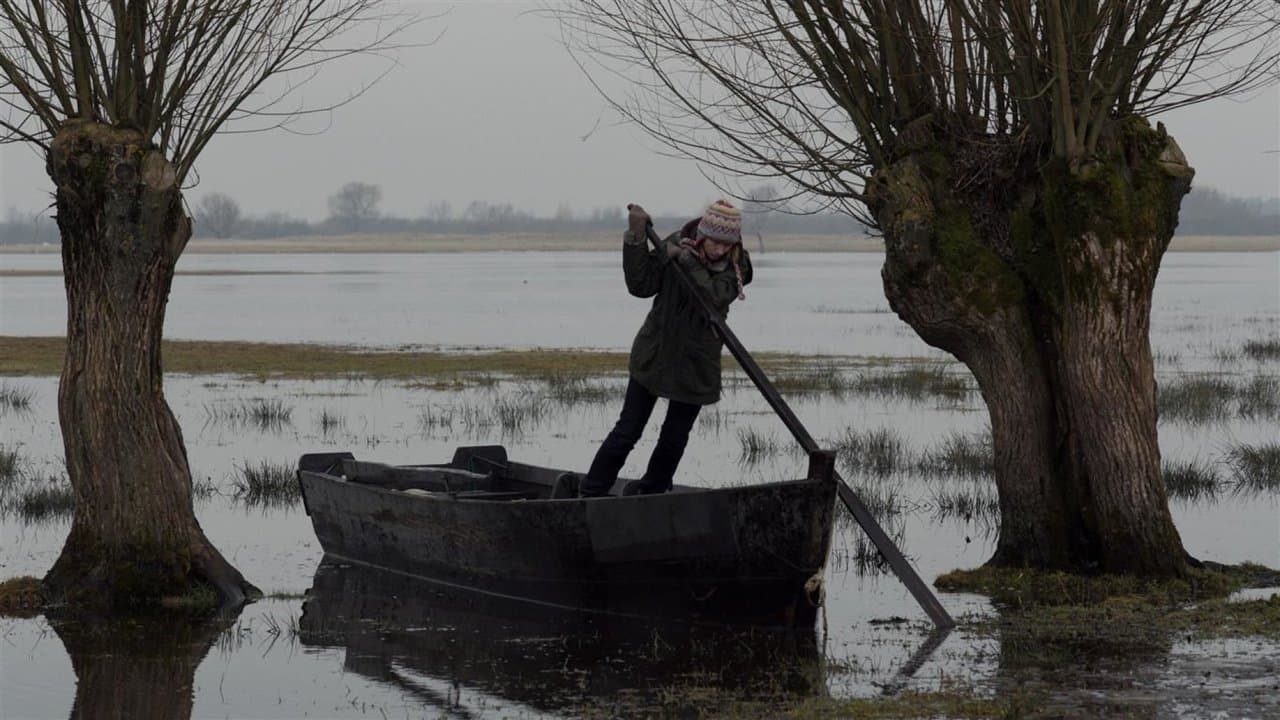 Kita Tylos Pusėの背景画像