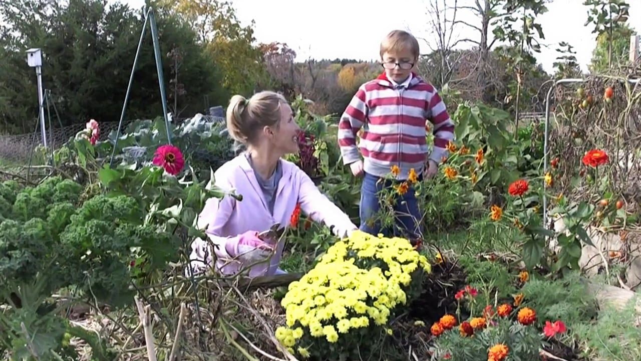 The Open Doorの背景画像