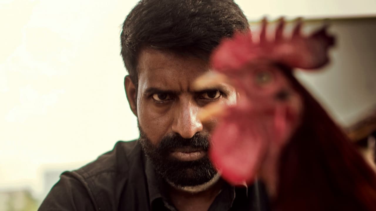 கொட்டுக்காளிの背景画像