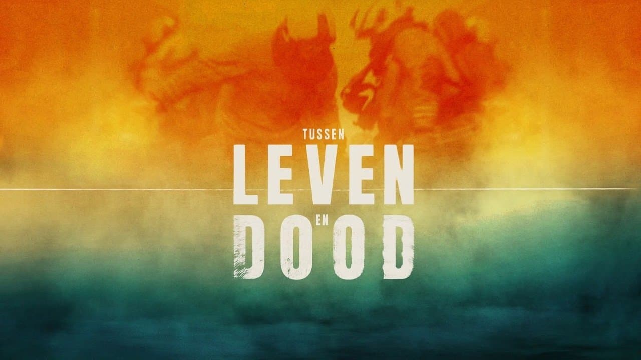 Tussen Leven en Doodの背景画像