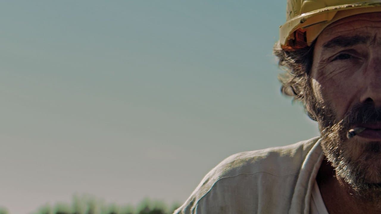 Apibeurzdéの背景画像