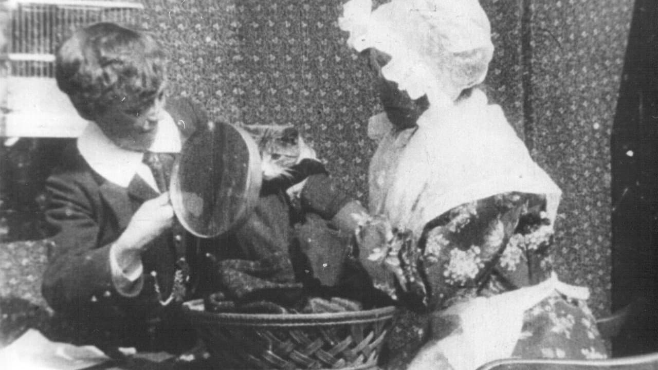 Grandma's Reading Glassの背景画像