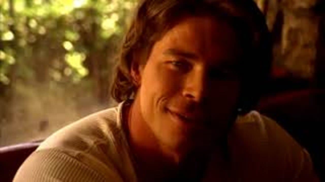 See Arnold Runの背景画像