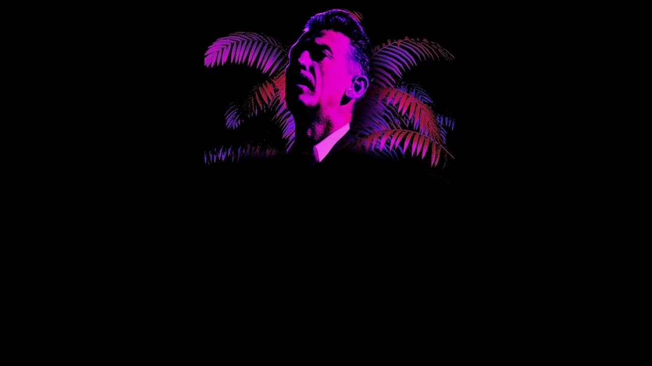 Danny Vera: Live in Amsterdam (ft. The Neon Orchestra)の背景画像