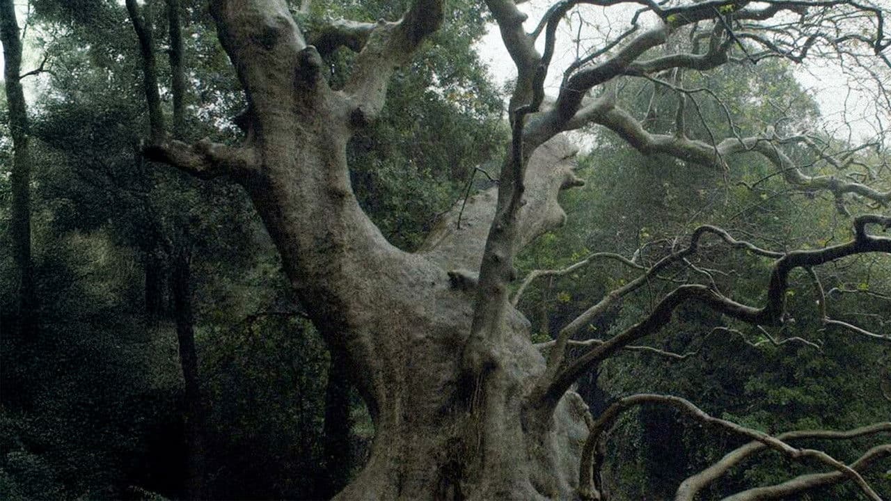 Nuovo cinema paraliticoの背景画像