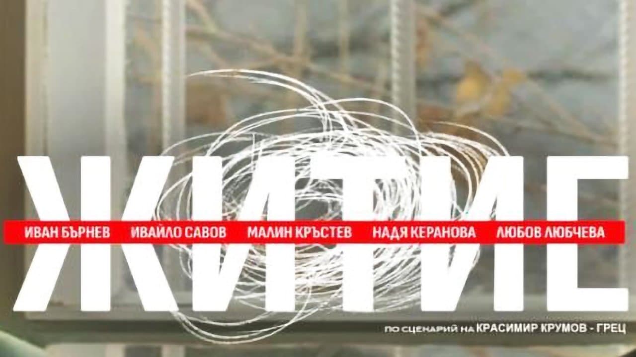 Житиеの背景画像