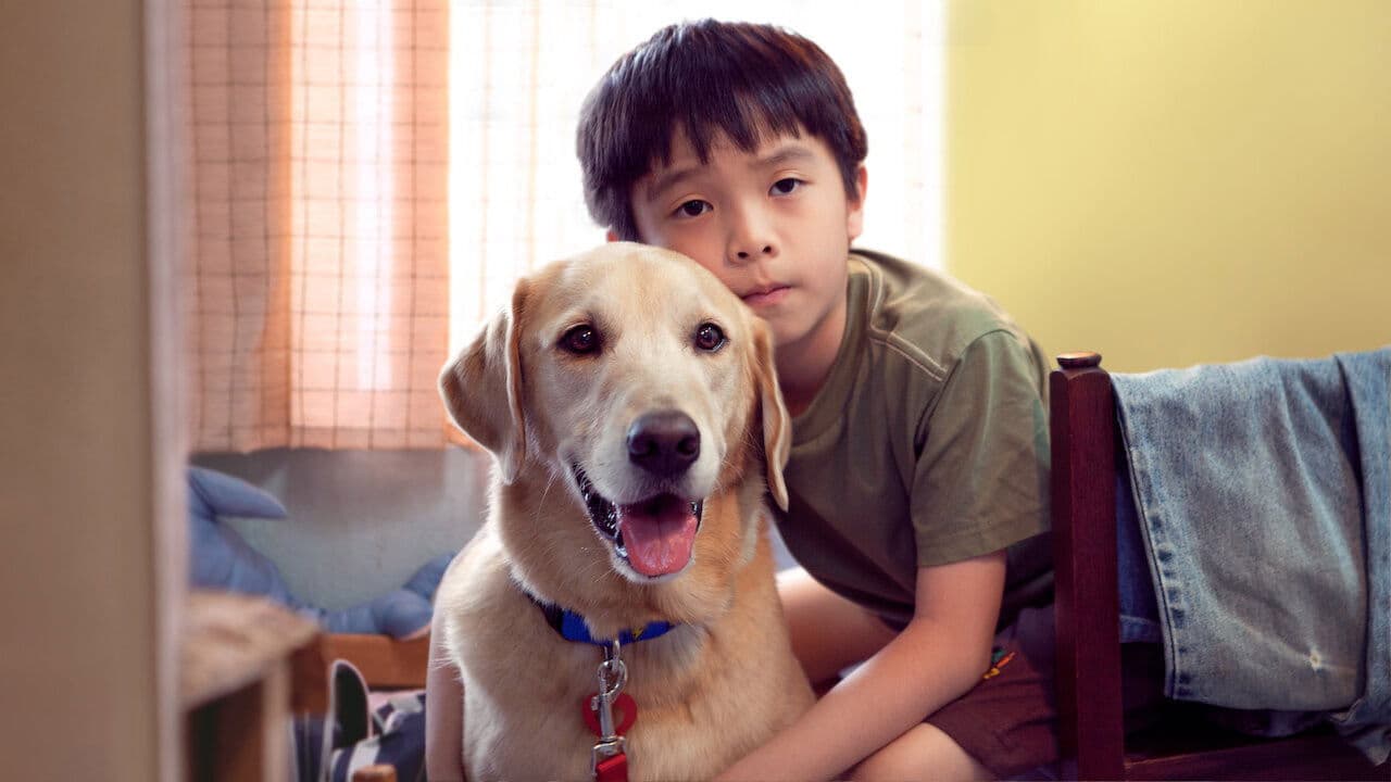 我的狗蚪蚪の背景画像