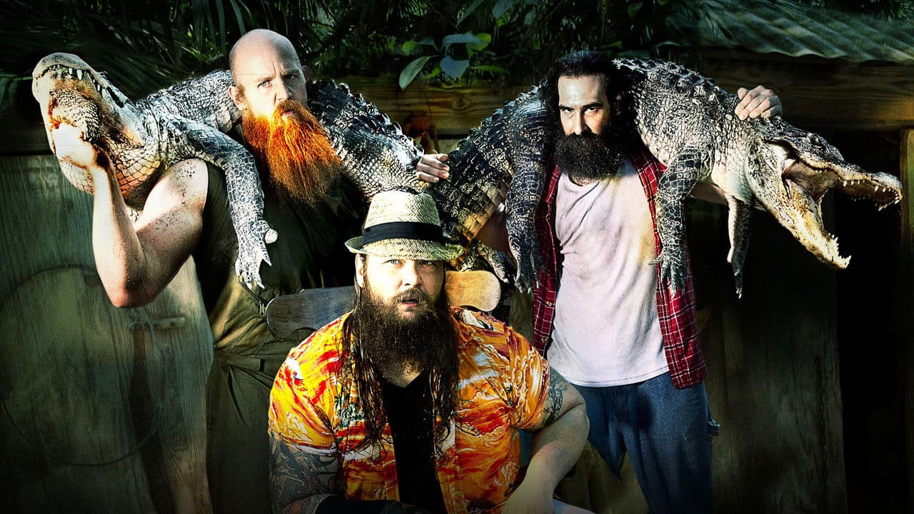 WWE Survivor Series 2013の背景画像