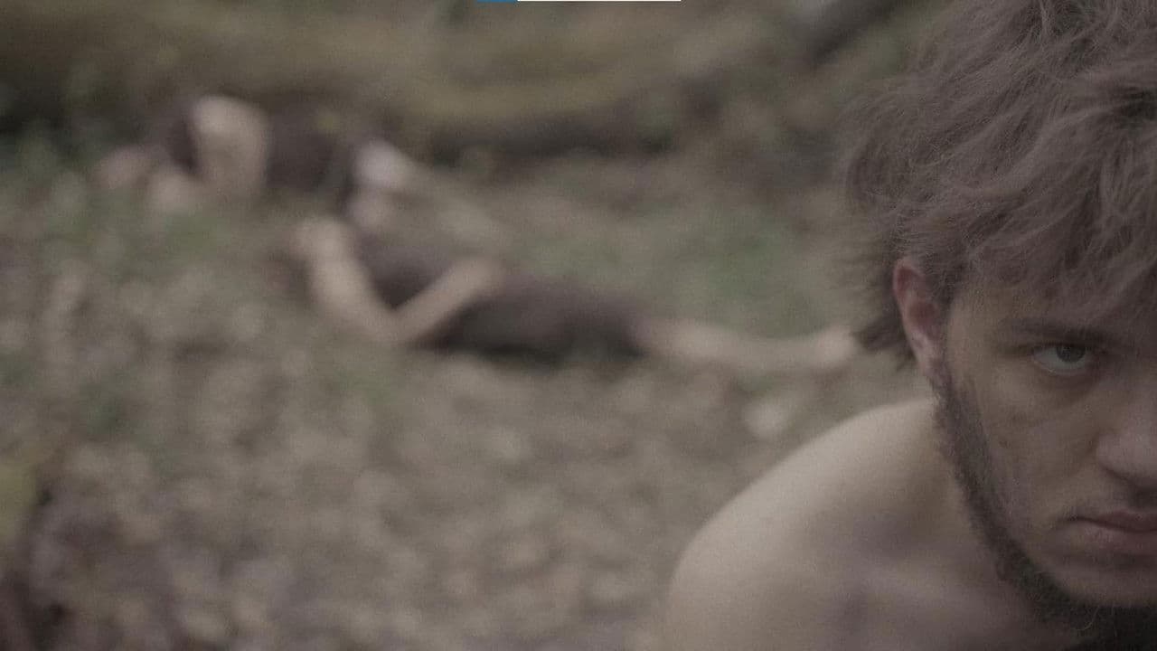 Primitivの背景画像