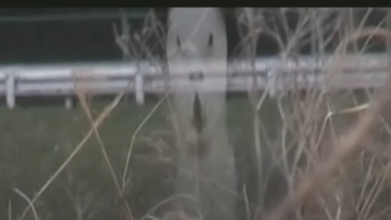 呪われた心霊動画 XXX 7の背景画像