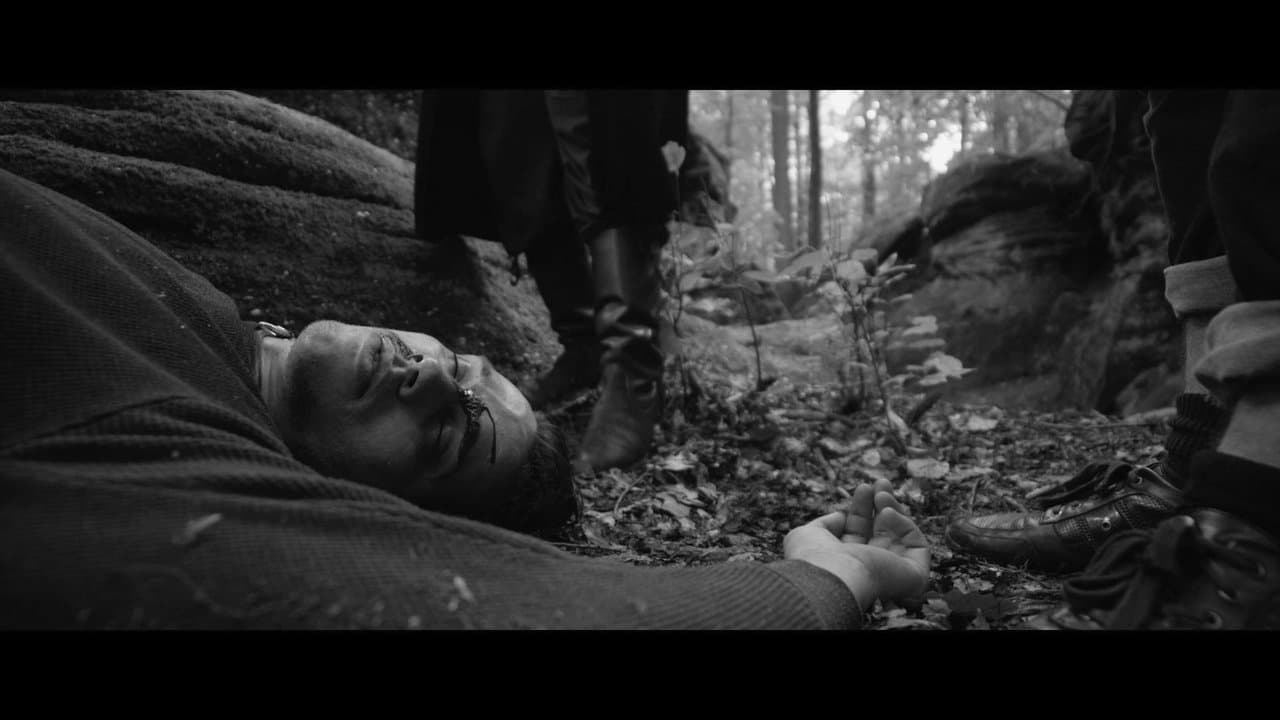 The Colours of Desireの背景画像