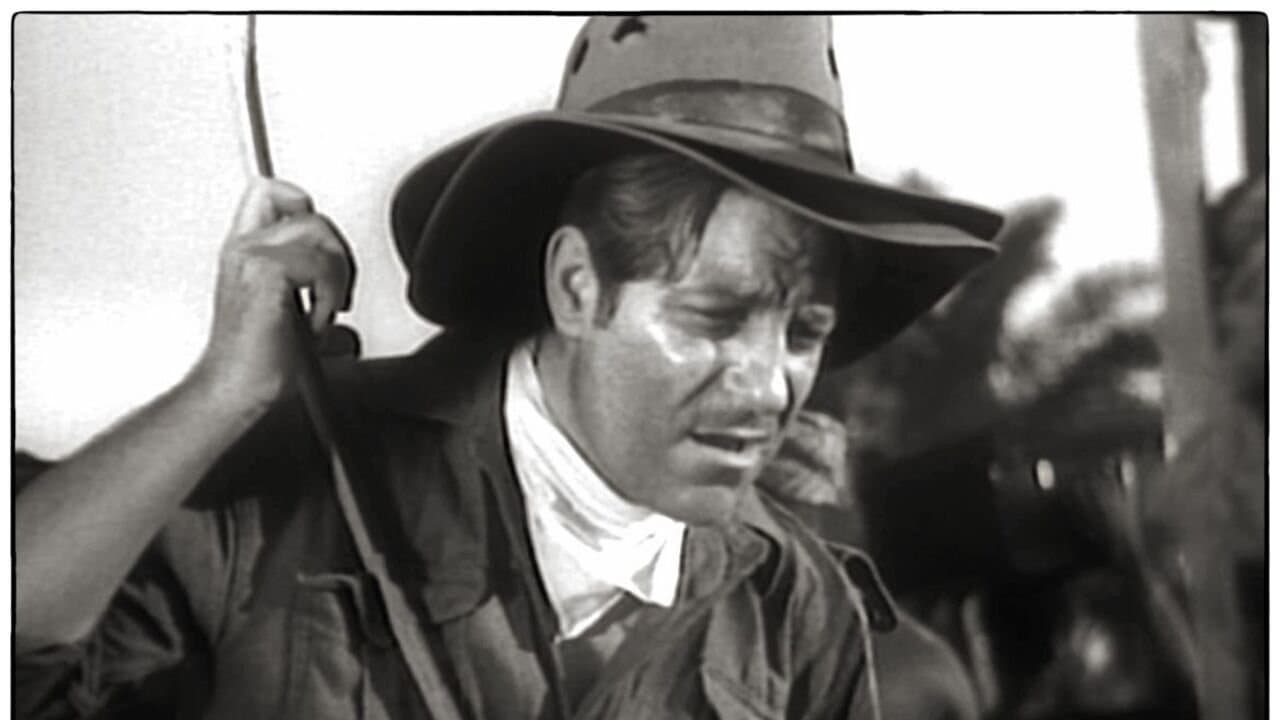 Le Messagerの背景画像