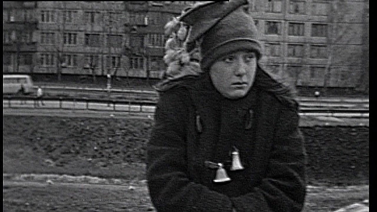 RUMBAの背景画像