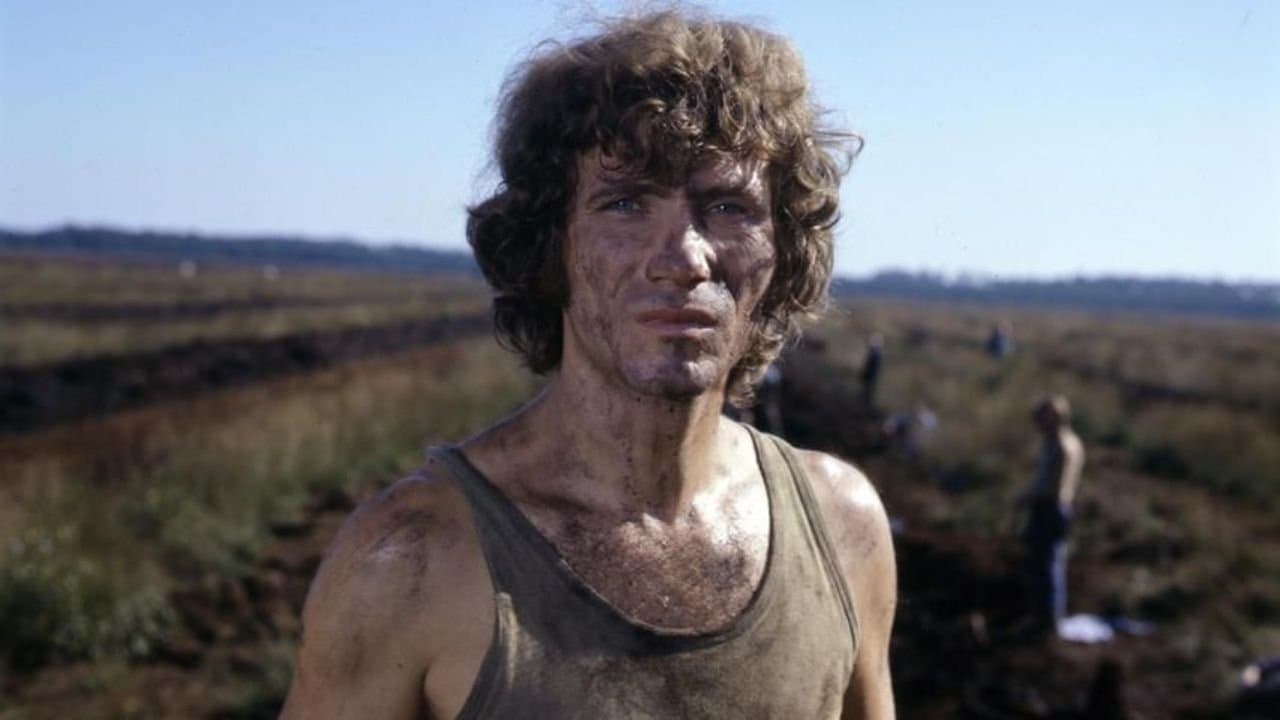 Die Verrohung des Franz Blumの背景画像