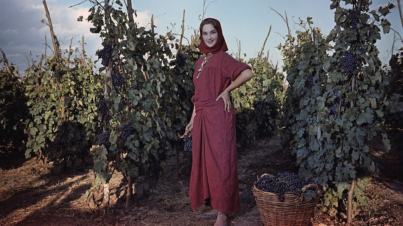 Казакиの背景画像