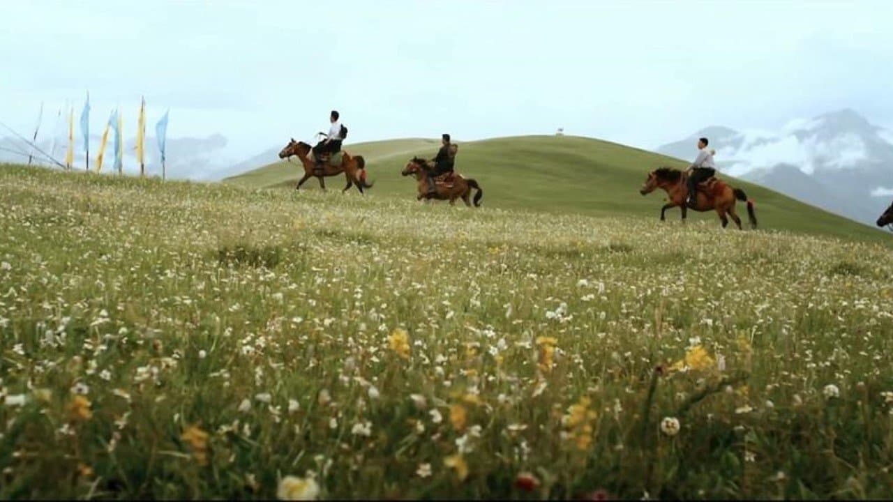 天上的菊美の背景画像