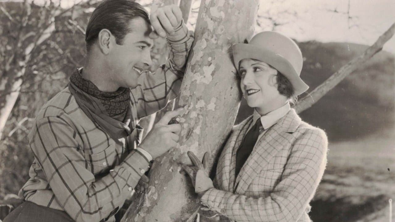 Wild Beautyの背景画像