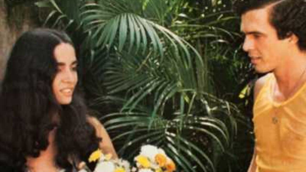 Aventuras de um Paraíbaの背景画像